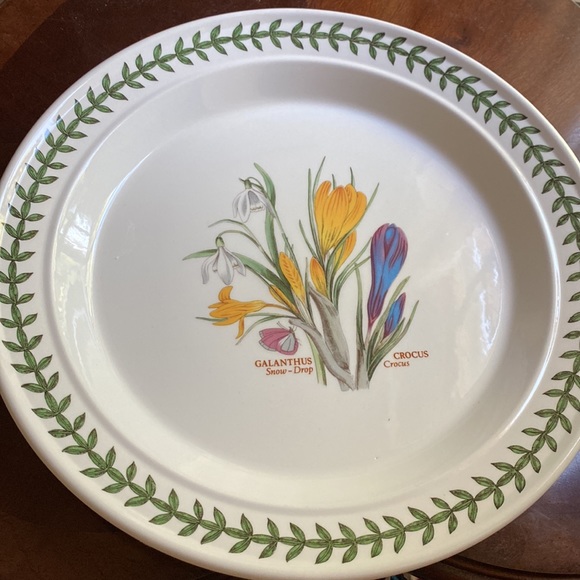2 Portmeirion dinner plates 10.5” in 1.5” deep pasta GALANTHUS CROCUS England - Picture 10 of 12